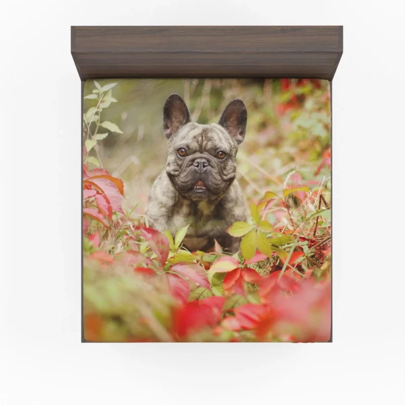 French Bulldog Charming Persona Endearing Grace Fitted Sheet 1