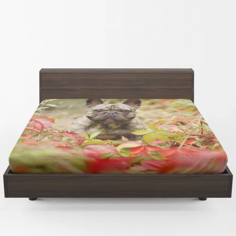 French Bulldog Charming Persona Endearing Grace Fitted Sheet