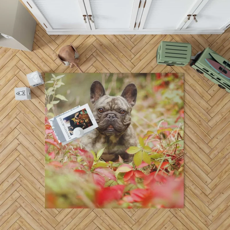 French Bulldog Charming Persona Endearing Grace Rug