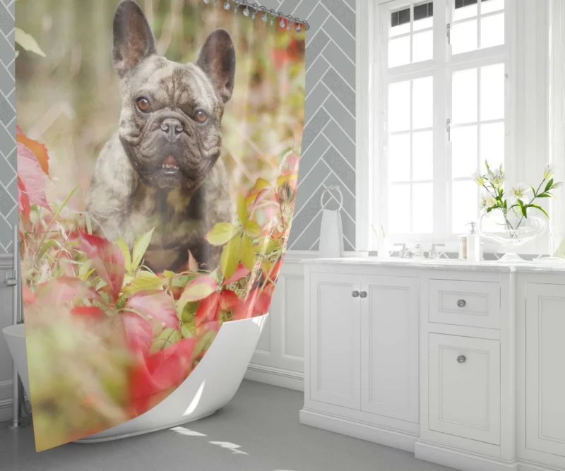 French Bulldog Charming Persona Endearing Grace Shower Curtain 1