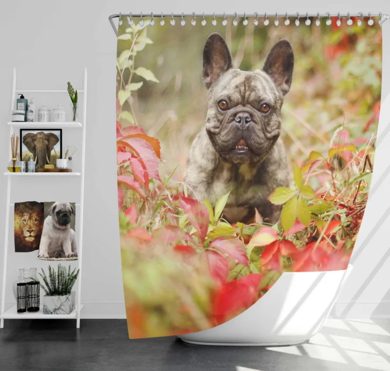 French Bulldog Charming Persona Endearing Grace Shower Curtain