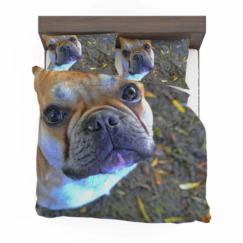 French Bulldog Charming Rest Muzzle Comfort Bedding Set 1