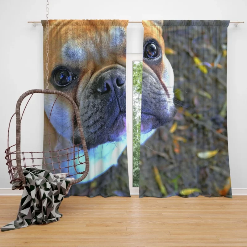 French Bulldog Charming Rest Muzzle Comfort Curtain