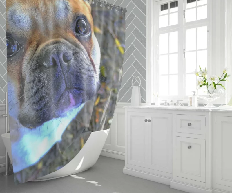 French Bulldog Charming Rest Muzzle Comfort Shower Curtain 1