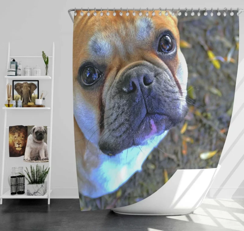 French Bulldog Charming Rest Muzzle Comfort Shower Curtain