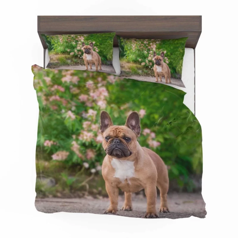 French Bulldog Cute Charisma Furry Friend Bedding Set 1