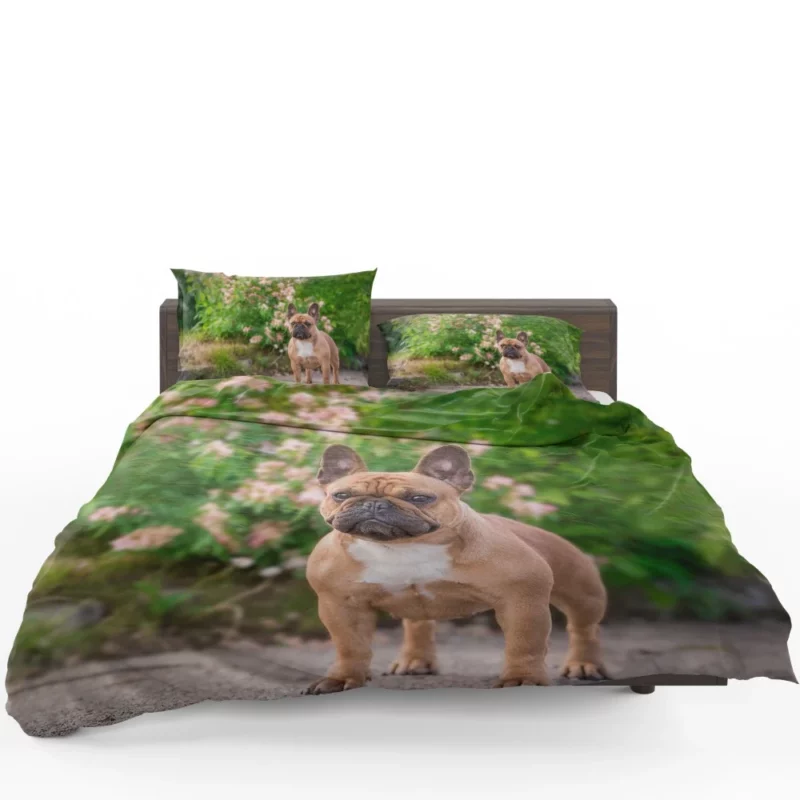 French Bulldog Cute Charisma Furry Friend Bedding Set