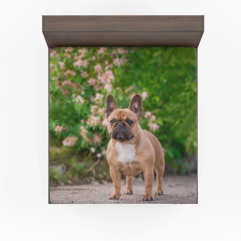 French Bulldog Cute Charisma Furry Friend Fitted Sheet 1