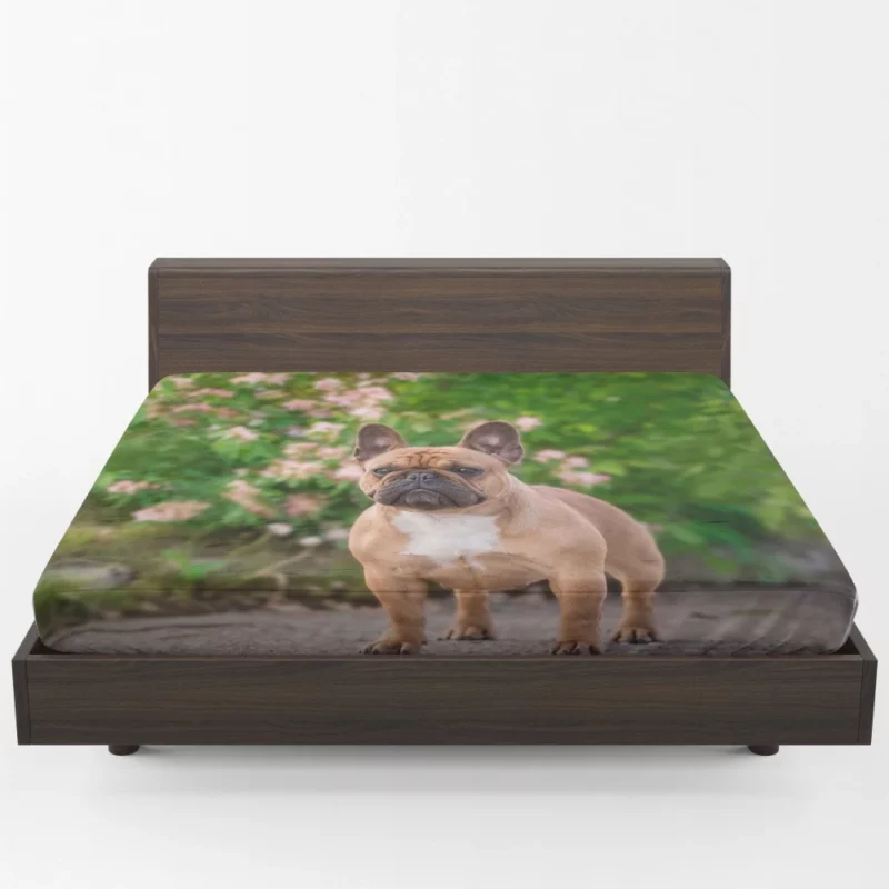 French Bulldog Cute Charisma Furry Friend Fitted Sheet