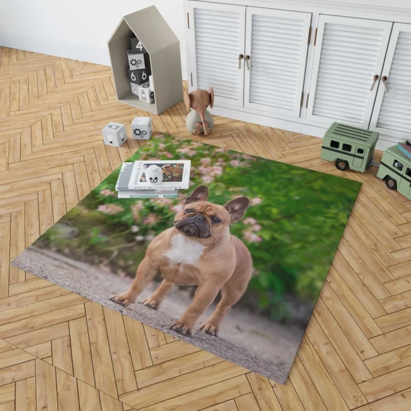 French Bulldog Cute Charisma Furry Friend Rug 1