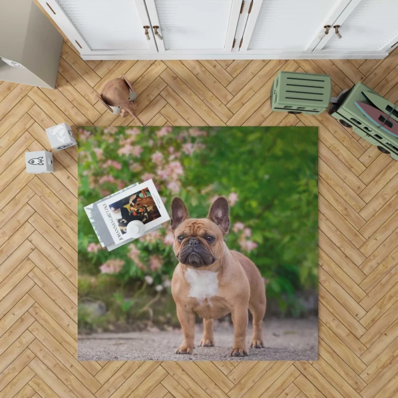 French Bulldog Cute Charisma Furry Friend Rug