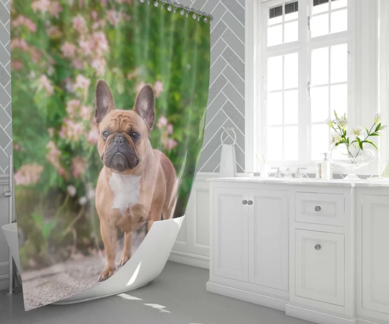 French Bulldog Cute Charisma Furry Friend Shower Curtain 1