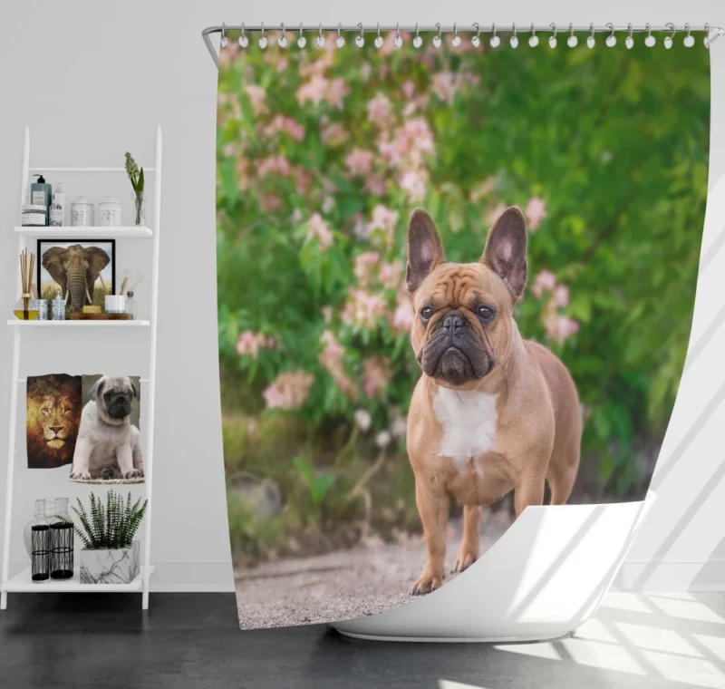 French Bulldog Cute Charisma Furry Friend Shower Curtain