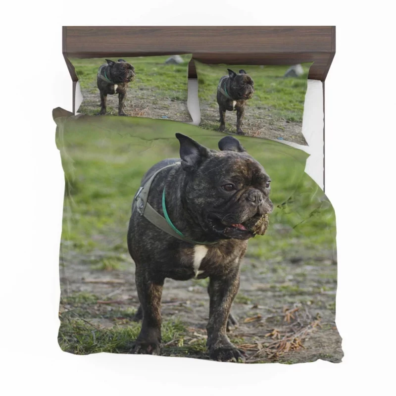 French Bulldog Playful Charm Bedding Set 1