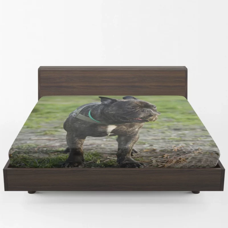 French Bulldog Playful Charm Fitted Sheet