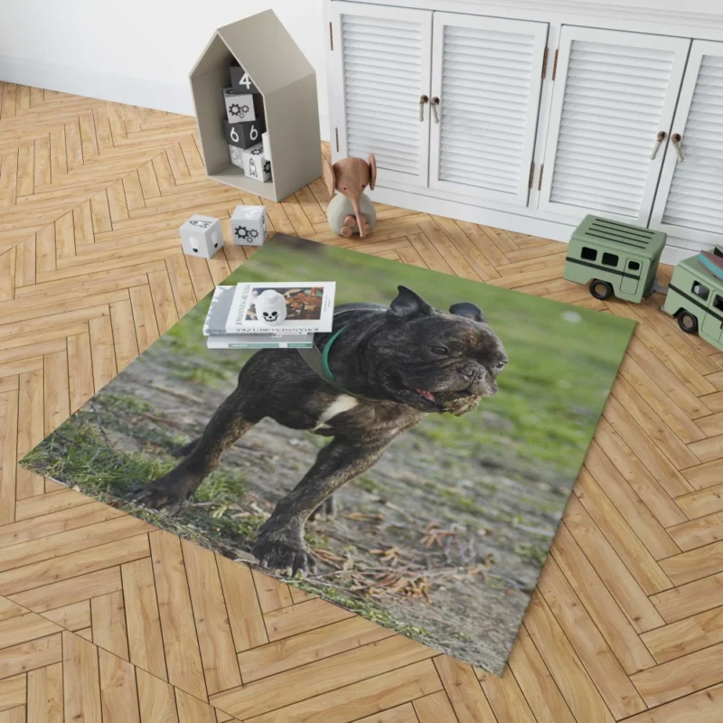 French Bulldog Playful Charm Rug 1