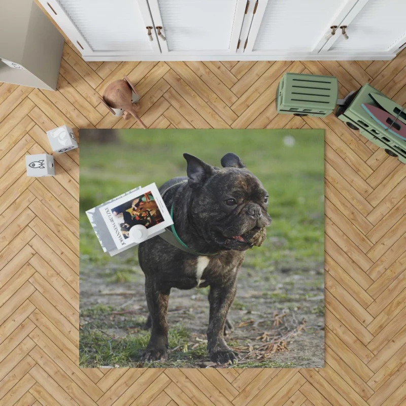 French Bulldog Playful Charm Rug