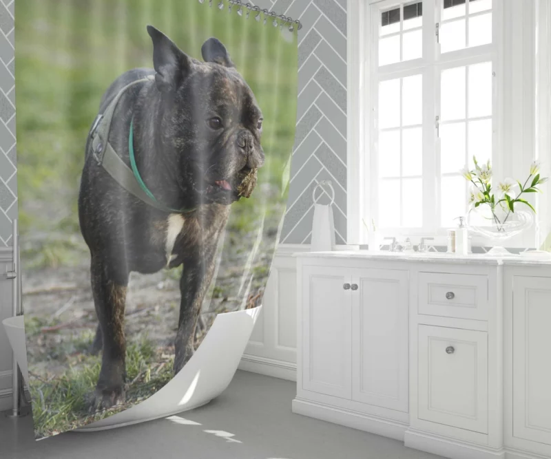 French Bulldog Playful Charm Shower Curtain 1