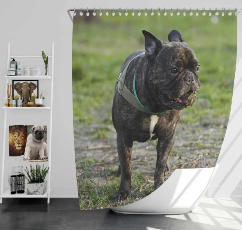 French Bulldog Playful Charm Shower Curtain