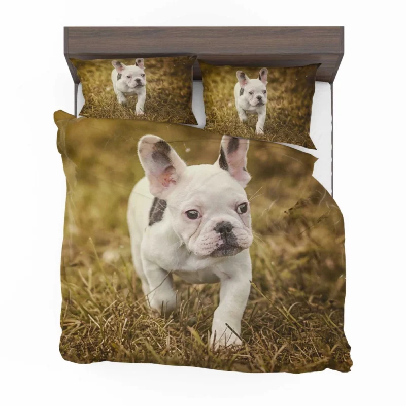 French Bulldog Quirky Charisma Bedding Set 1