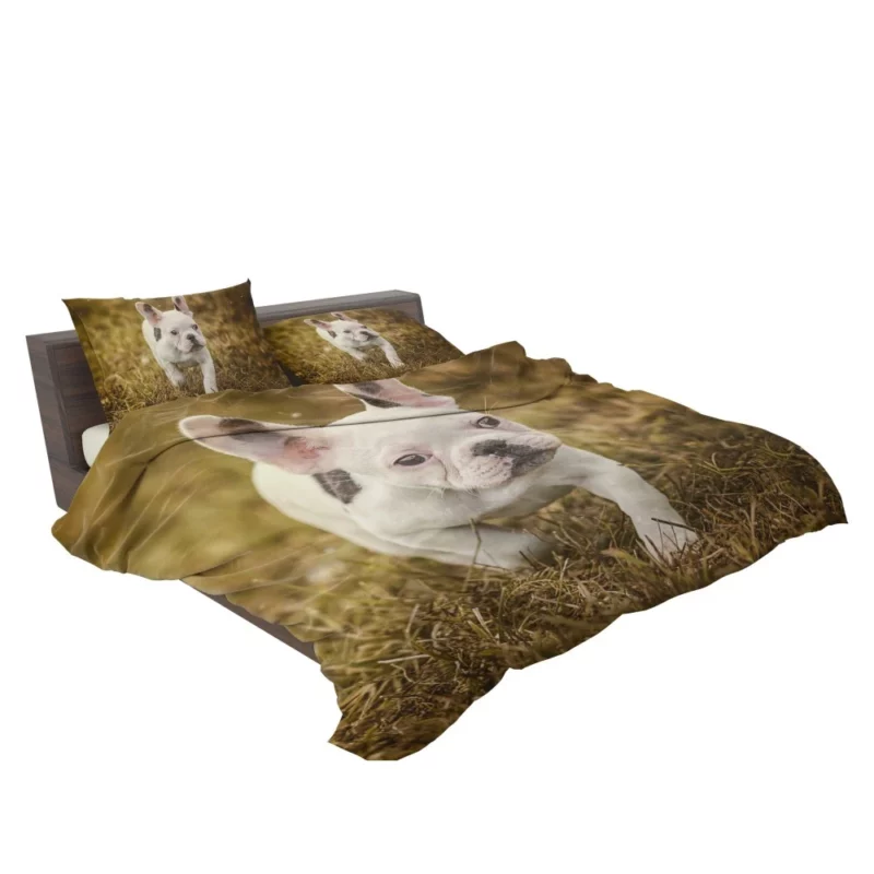 French Bulldog Quirky Charisma Bedding Set 2