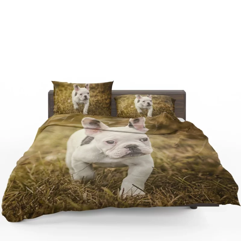 French Bulldog Quirky Charisma Bedding Set