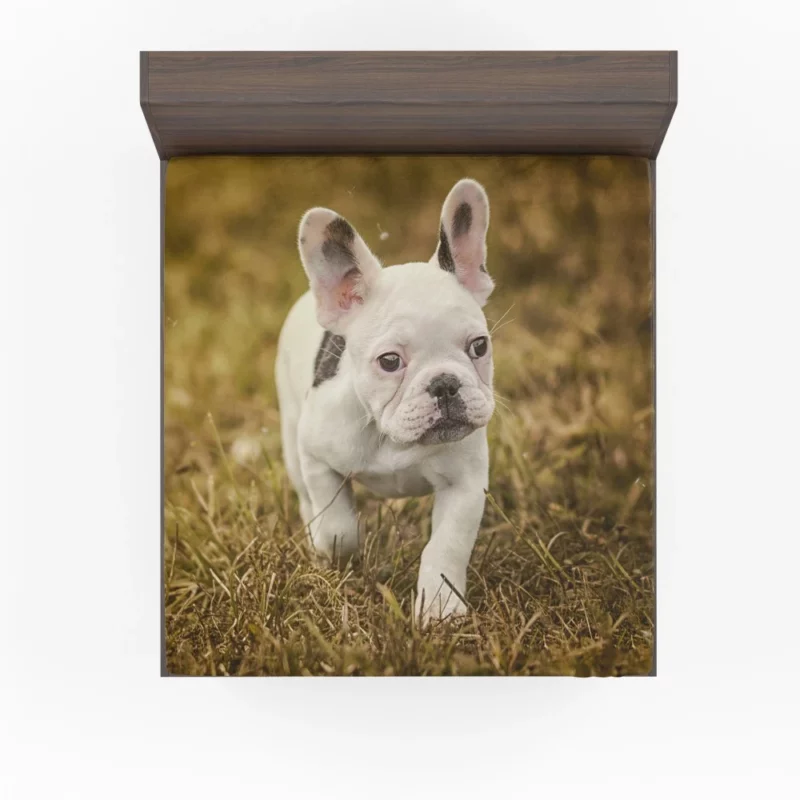 French Bulldog Quirky Charisma Fitted Sheet 1