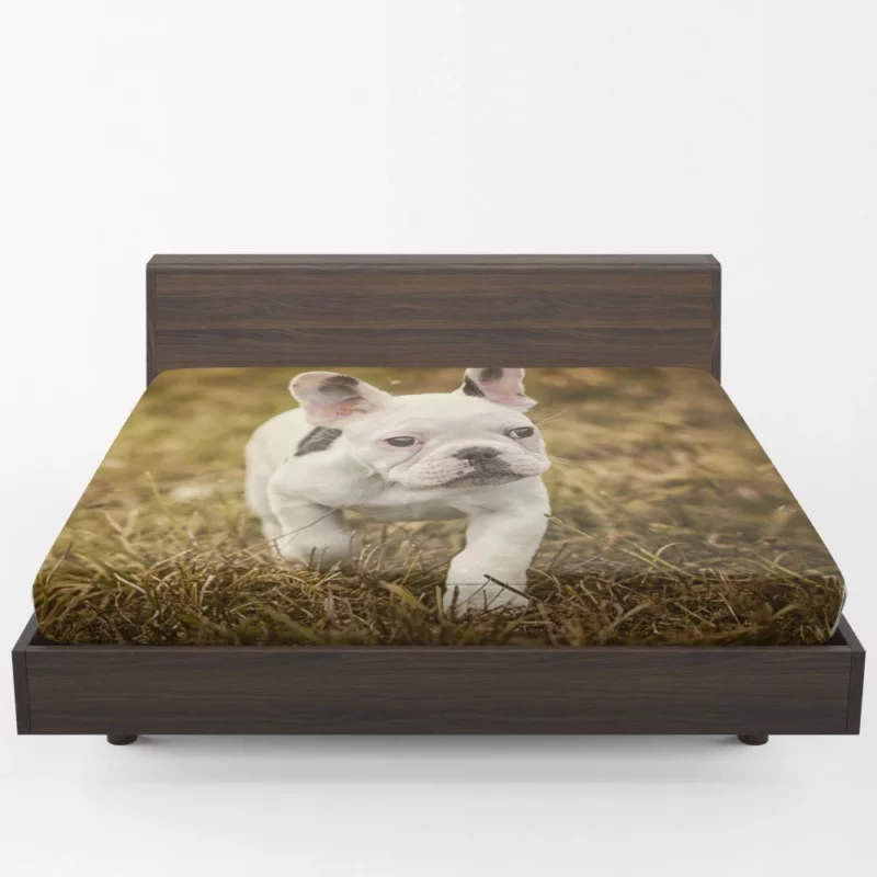 French Bulldog Quirky Charisma Fitted Sheet