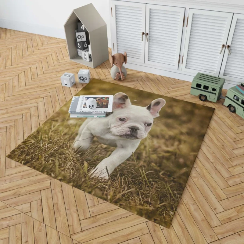 French Bulldog Quirky Charisma Rug 1