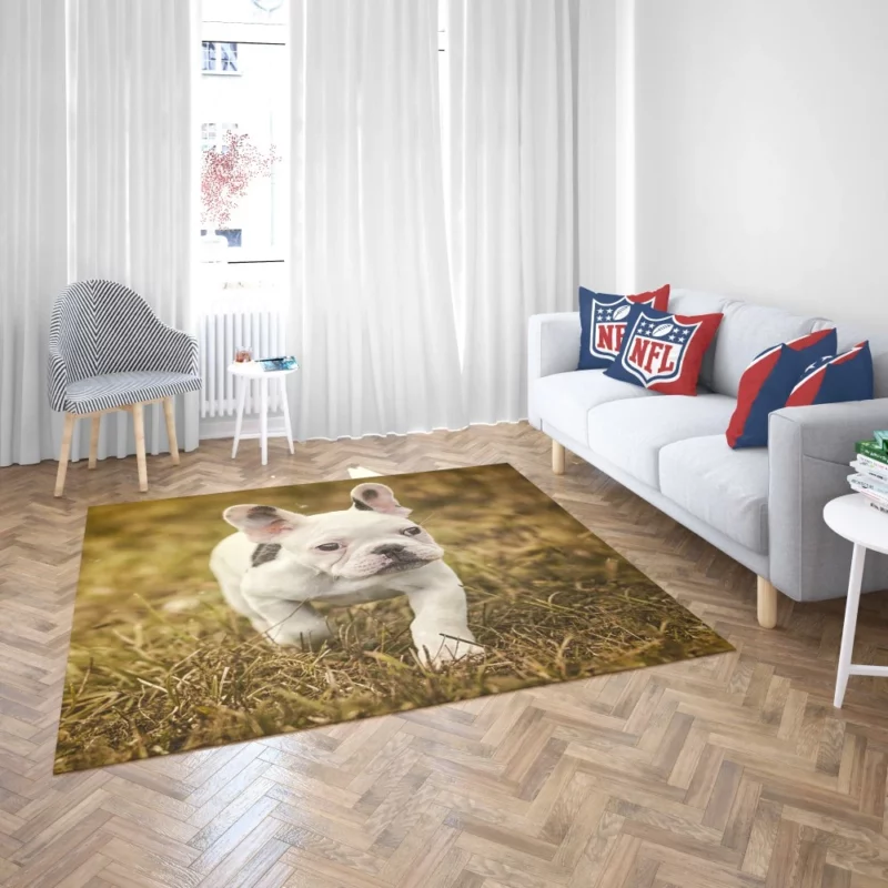 French Bulldog Quirky Charisma Rug 2