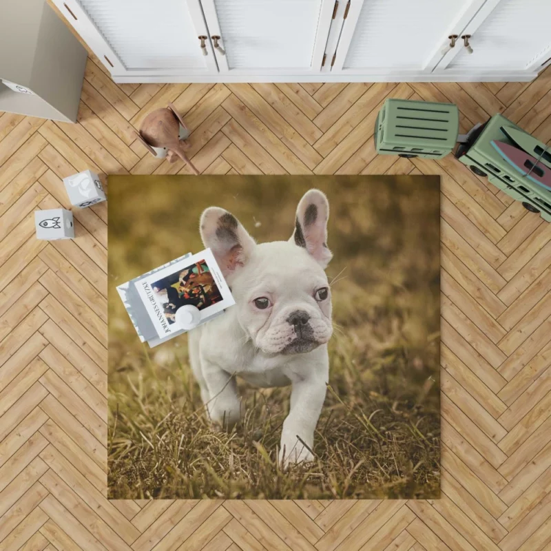 French Bulldog Quirky Charisma Rug