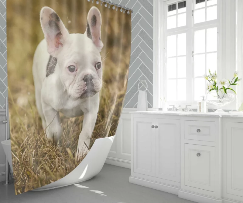 French Bulldog Quirky Charisma Shower Curtain 1