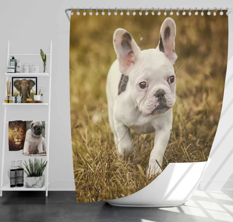 French Bulldog Quirky Charisma Shower Curtain