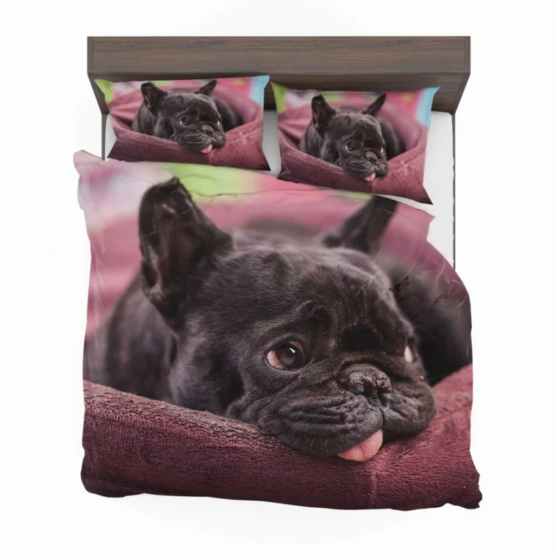 French Bulldog Restful Moments Muzzle Comfort Bedding Set 1