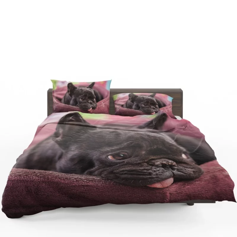 French Bulldog Restful Moments Muzzle Comfort Bedding Set