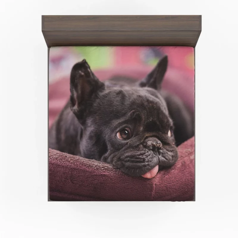 French Bulldog Restful Moments Muzzle Comfort Fitted Sheet 1