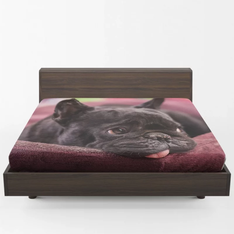 French Bulldog Restful Moments Muzzle Comfort Fitted Sheet