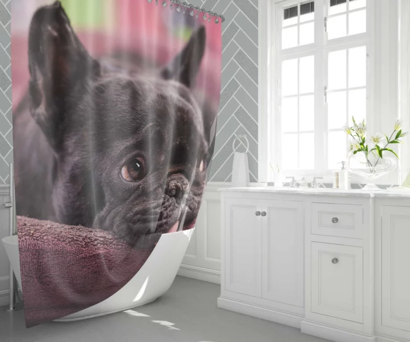 French Bulldog Restful Moments Muzzle Comfort Shower Curtain 1