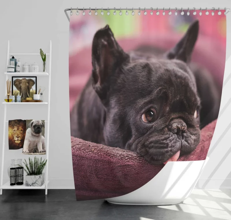 French Bulldog Restful Moments Muzzle Comfort Shower Curtain