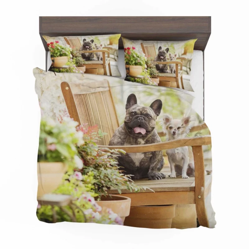 French Bulldog and Chihuahua Duo Bedding Set 1