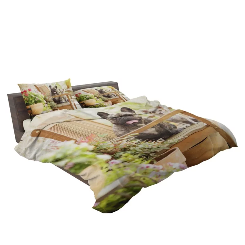 French Bulldog and Chihuahua Duo Bedding Set 2