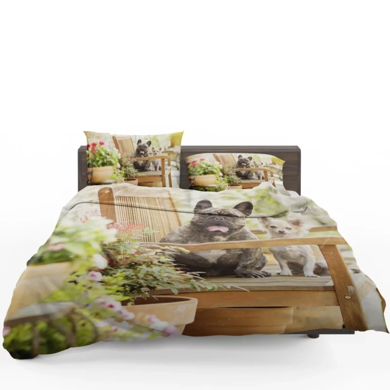 French Bulldog and Chihuahua Duo Bedding Set