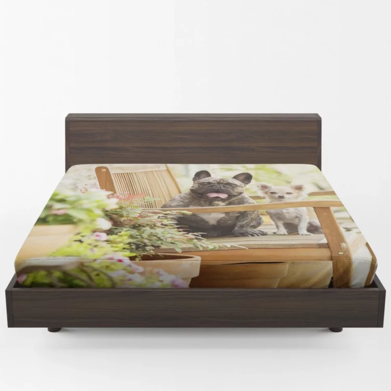 French Bulldog and Chihuahua Duo Fitted Sheet