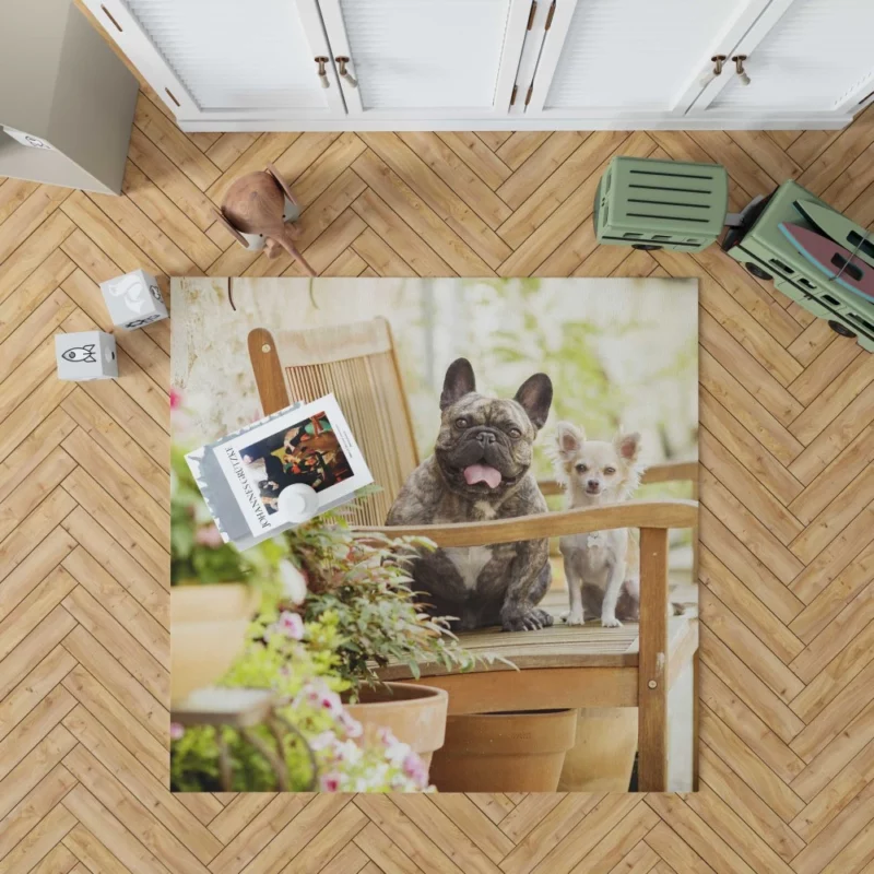 French Bulldog and Chihuahua Duo Rug