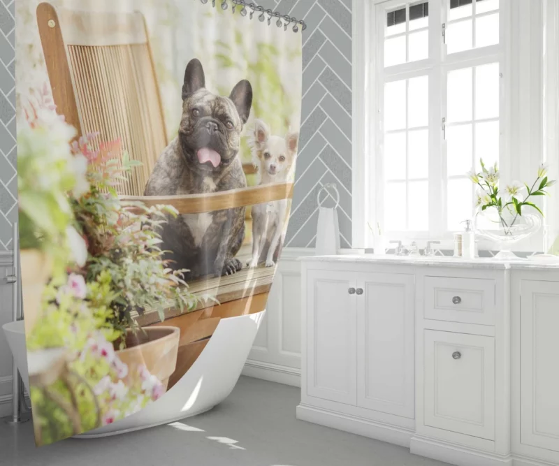 French Bulldog and Chihuahua Duo Shower Curtain 1