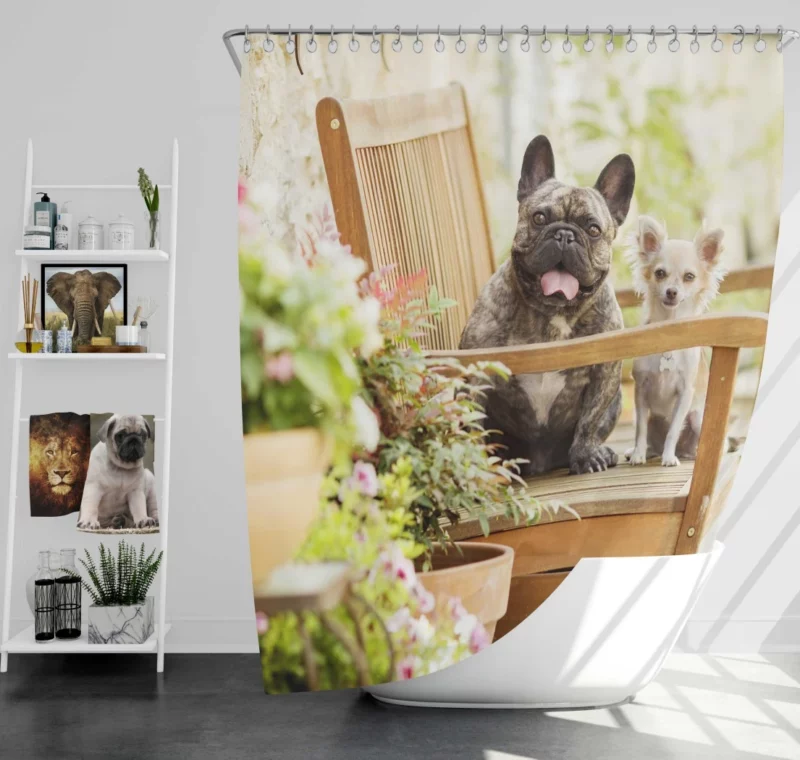 French Bulldog and Chihuahua Duo Shower Curtain