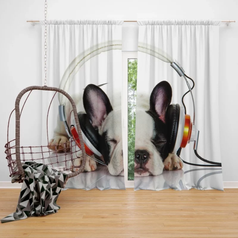 French Bulldog with Headphones Music-Loving Moment Curtain