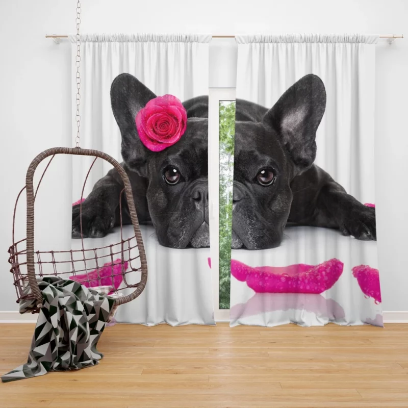 French Bulldog with Petal Charm Curtain