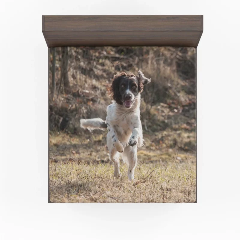 French Spaniel in Captivating Movement Fitted Sheet 1