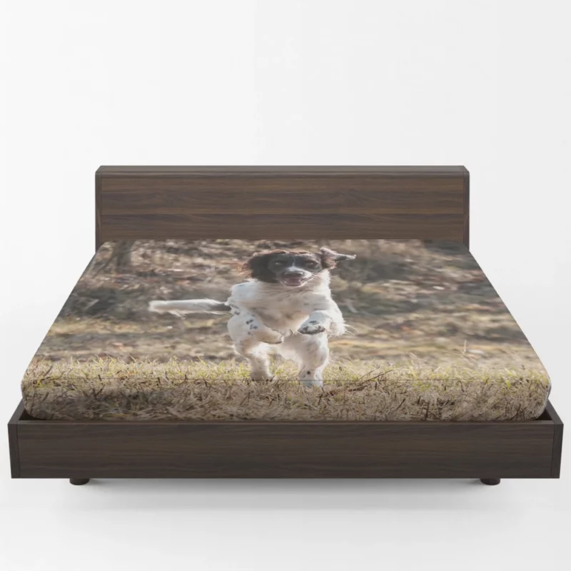 French Spaniel in Captivating Movement Fitted Sheet